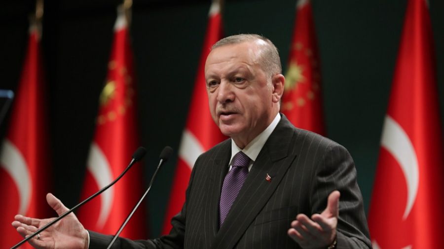 Эрдоган предложил канцлеру Австрии Нехаммеру сотрудничество в транспортировке газа в ЕС