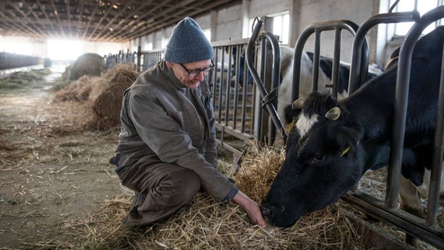 Немецкие фермеры рассказали об экономических последствиях санкций в отношении России