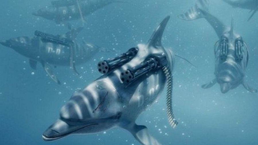 The Washington Post: Россия использует "боевых дельфинов" для защиты баз в Черном море