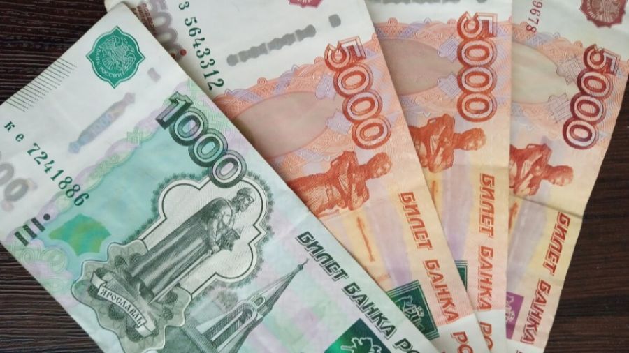 Часть граждан в России сможет получить новую выплату до 16 тысяч рублей в мае 2022 года