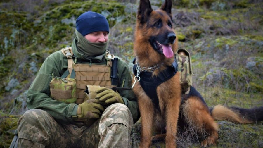 URA.RU: Боец «БАРСА» «Почтарь» привез в зону СВО свою собаку, чтобы научить ее искать мины