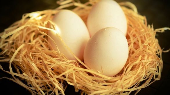 Экономист Холод оценил риск повышения цен на куриные яйца в преддверии Пасхи