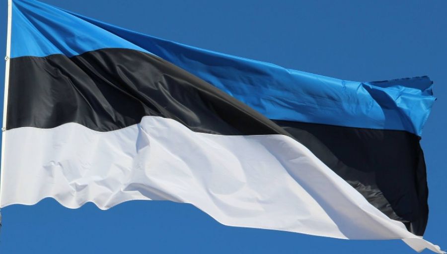 Эстония направит свои военных инструкторов для подготовки украинских военнослужащих