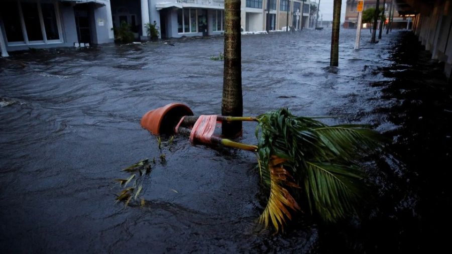 Ураган Идалия обрушился на побережье Флориды