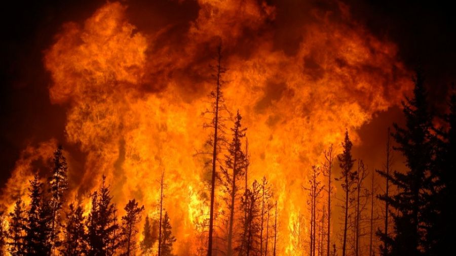 Изменение климата усилило пожары в Канаде
