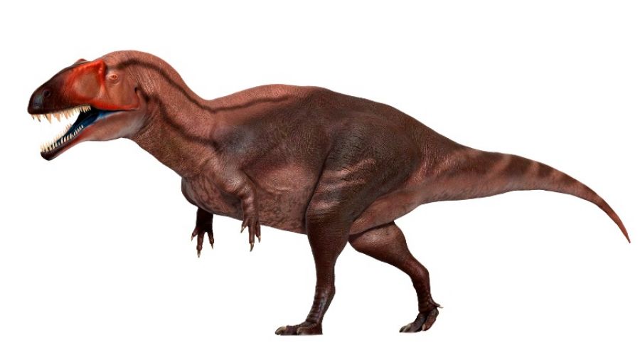 В Техасе в результате засухи обнаружены следы динозавров