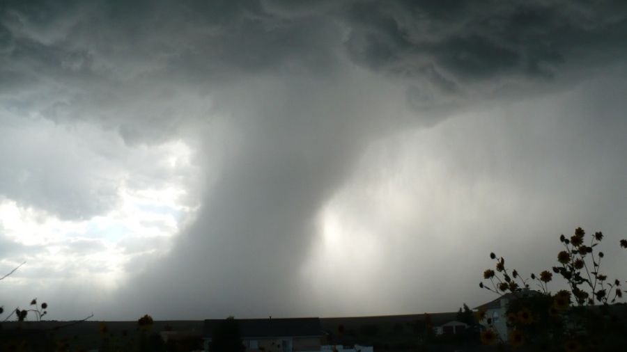Метеорологическая служба США изучает Глен Миллс в штате Пенсильвания на предмет возможного торнадо