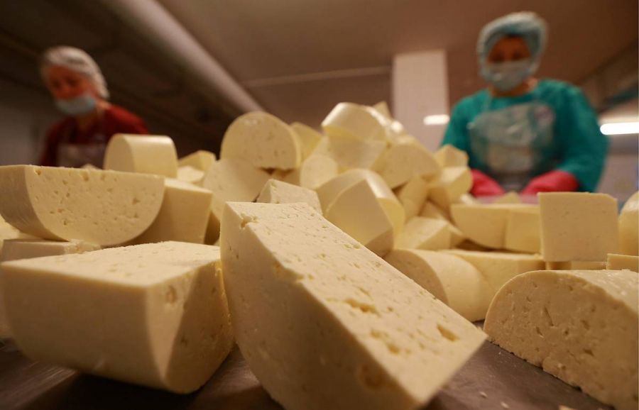 Производство российского сыра может стать убыточным из-за коллег из Белоруссии