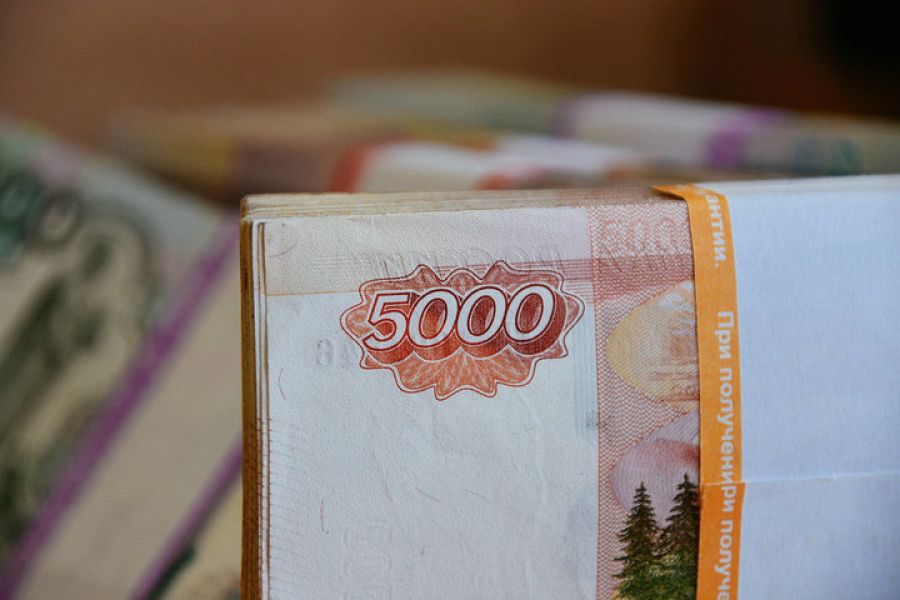Депутат Нилов предложил начислять работающим пенсионерам 10 баллов по "путинским выплатам"