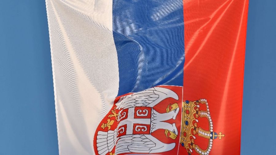 Депутат ГД Алексей Чепа назвал условие вхождения Сербии в состав РФ