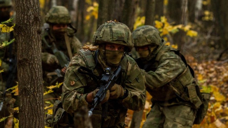 RusVesna: Бойцы «Отважных» заняли передовые позиции боевиков ВСУ у Кременной