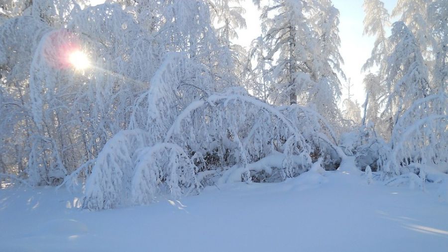Эксперт Шеслер указала, что должна сделать РФ, чтобы не допустить атак ВСУ на Сибирь