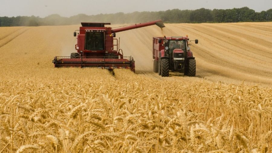 Урожай зерновых культур на Украине снизился на 40 млн тонн в 2022 году