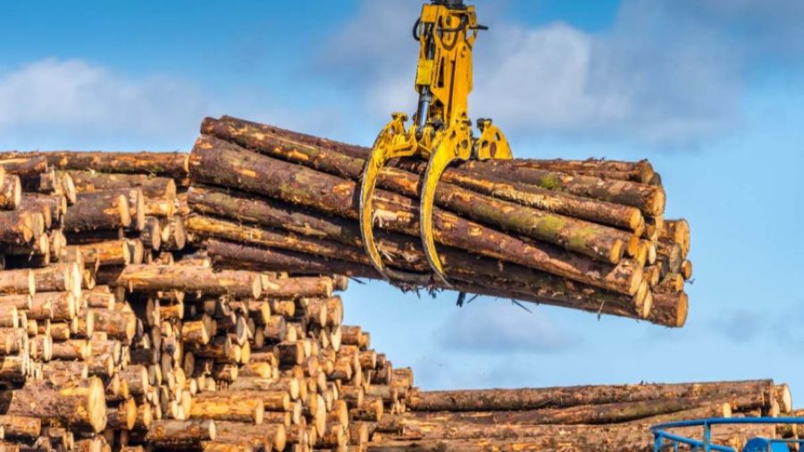 Китайская компания не может экспортировать древесину из Вануату из-за нарушений