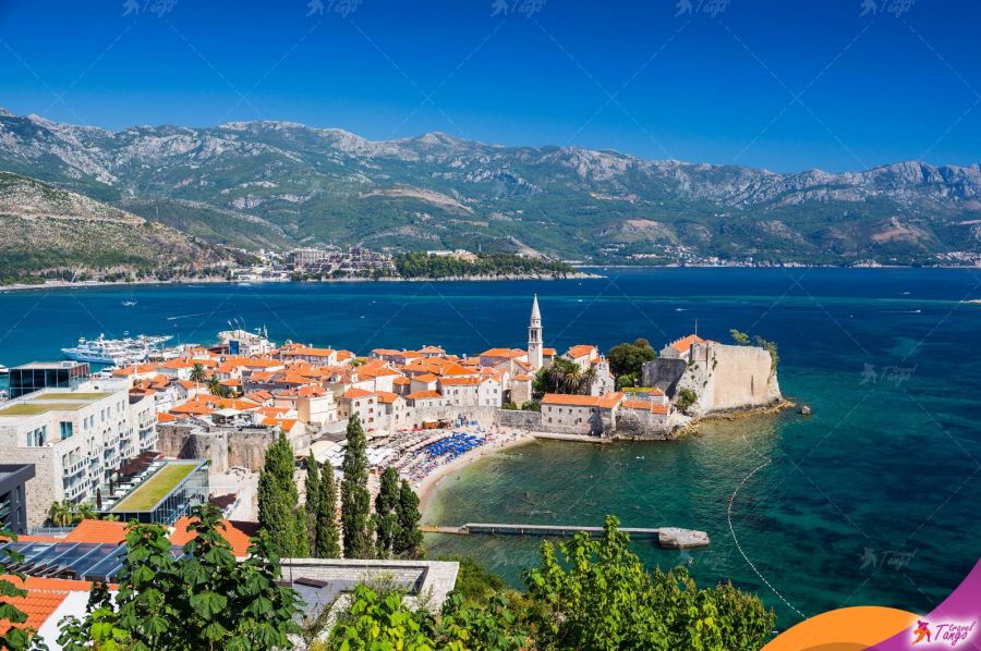 Еврокомиссия признала действительность ковид-сертификатов Черногории