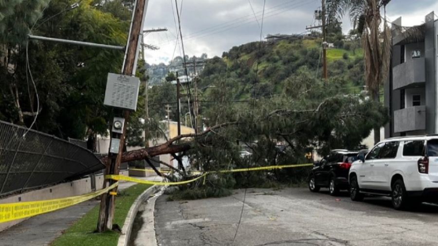 Энергетики округа Лос-Анджелес не справляются с последствиями урагана