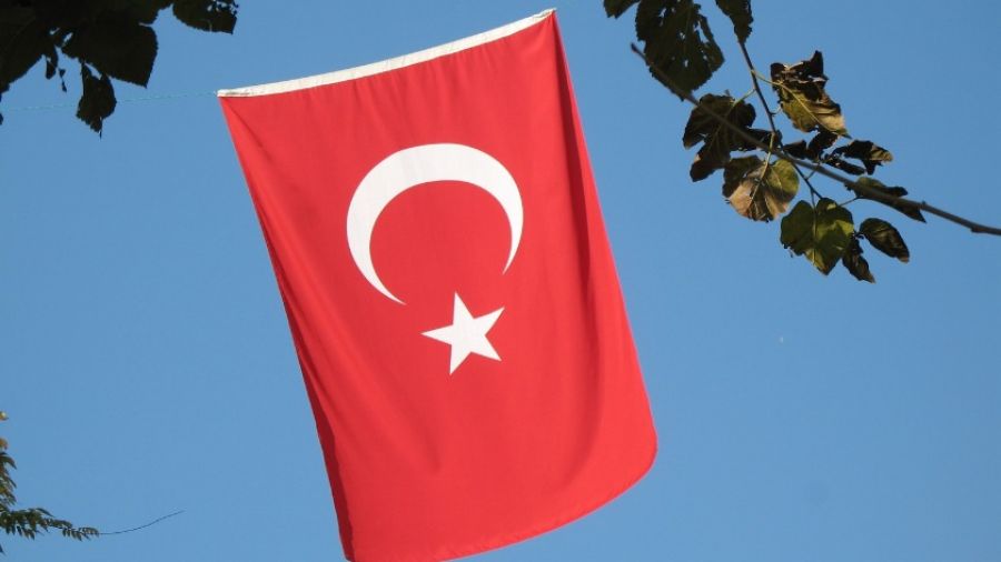 МК: Владимир Рогов рассказал о воюющих на стороне РФ добровольцах из Турции и США