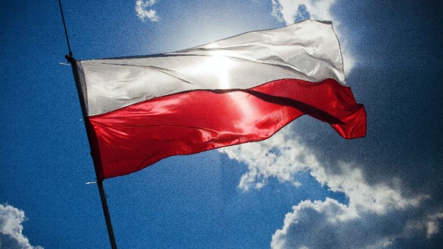 NDP: Власти Польши не сообщают о преступлениях оккупантов из США в стране