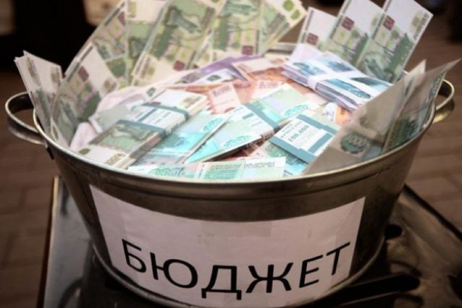 Экономист Дзарасов заявил, что МВФ не стоит гордиться профицитом бюджета