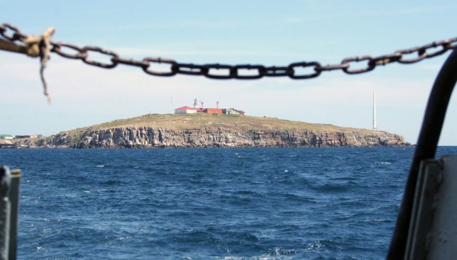 СП: тайна о. Змеиный раскрыта — чем на самом деле опасен для Киева «жест доброй воли» РФ