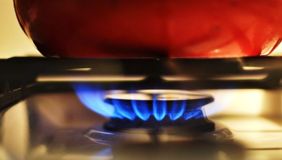 Регулятор ФРГ заявил о регулярных поставках газа из РФ в Германию