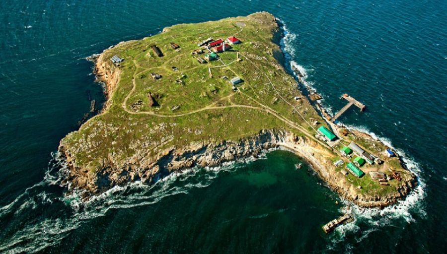 Царев разъяснил, почему РФ оставила Змеиный