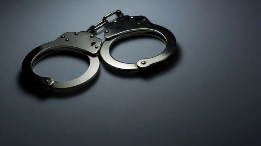 РИАН о деле студентки Веры Пехтелевой: почему полицейские избежали тюрьмы