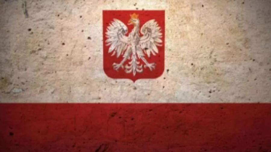 Do Rzeczy: в Польше ухудшилось отношение к ВСУ после критики Зеленского в адрес Запада