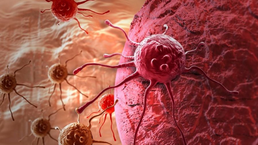 РИА Новости: Ядерный удар по раку, в РФ обсудили перспективы мирного атома