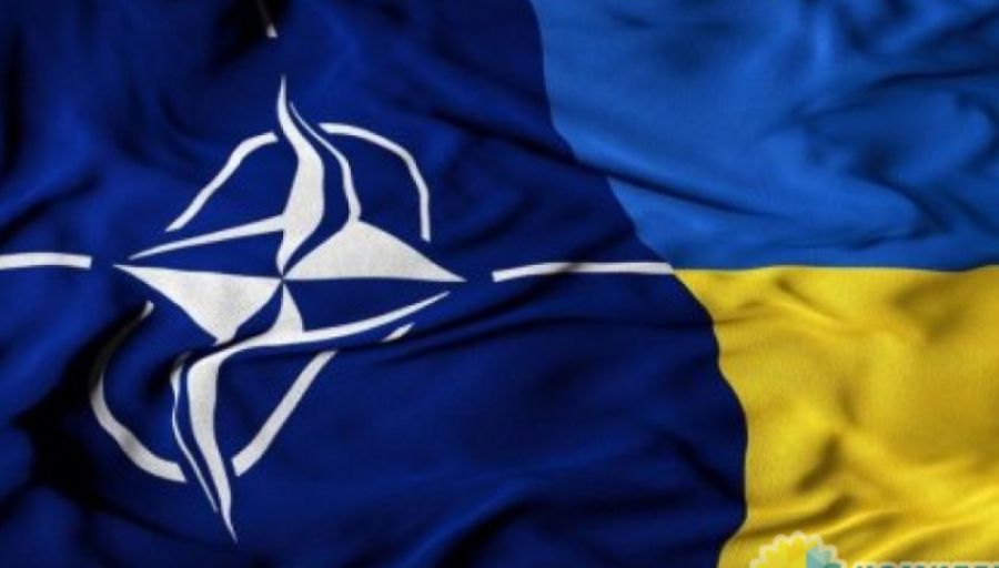 Не менее 10 боевых самолётов ВВС НАТО координировали атаку ВСУ на остров Змеиный