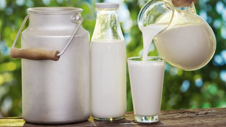 Роспотребнадзор РФ: молоко из чана, в котором искупались мужчины, не продали