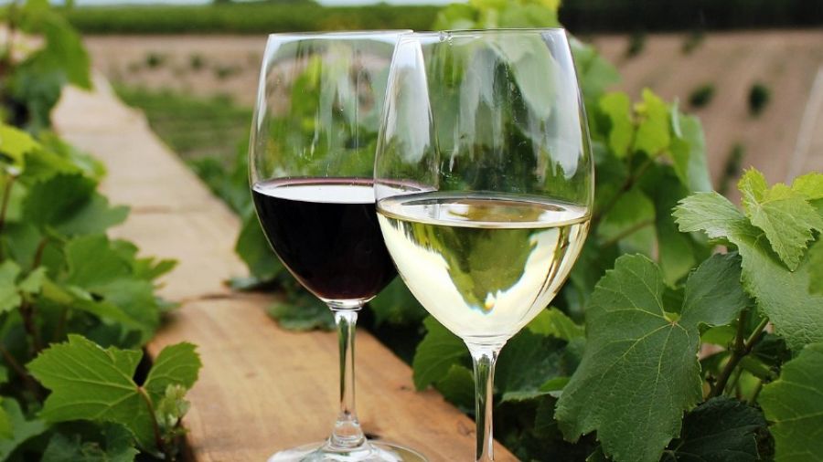 Гражданин России попробовал турецкое вино и вылил всю бутылку в унитаз