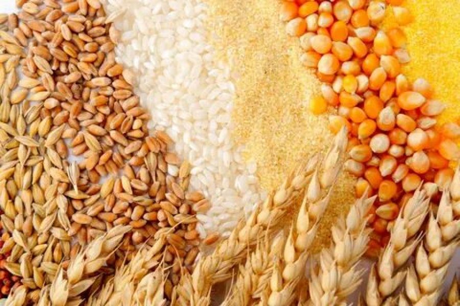 Россия ограничит экспорт зерновых, белого сахара и сахара-сырца