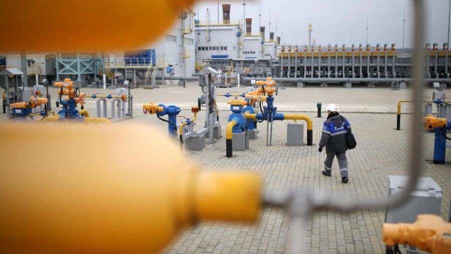 Глава «Сербиягаза»: Сербия может отказаться от газа из РФ, только перейдя топку дровами