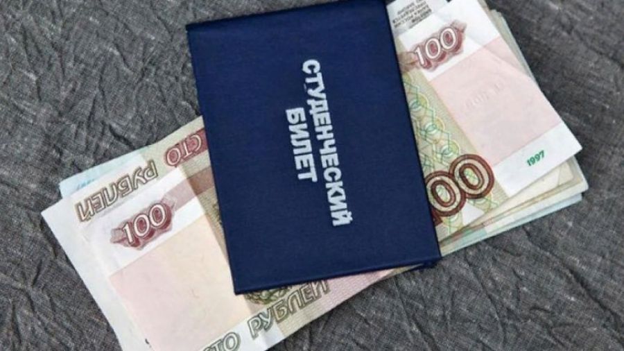 Ярославские власти выплатят по 30 000 студентам-первокурсникам из семей участников СВО