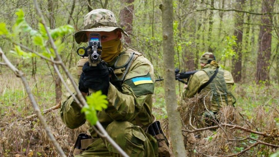 «МК»: В Брянской области сообщили об отсутствии данных о численности украинских диверсантов