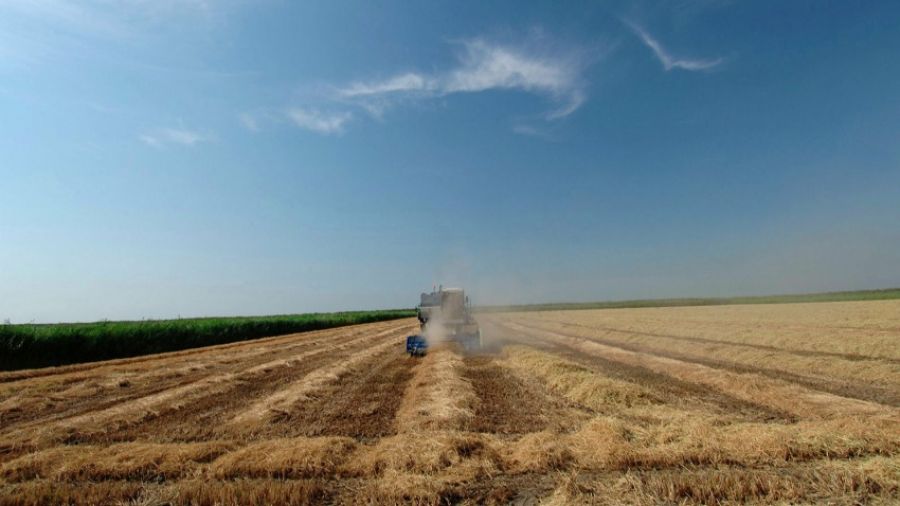 Херсонский фермер сообщил о незаконных захватах полей украинскими властями