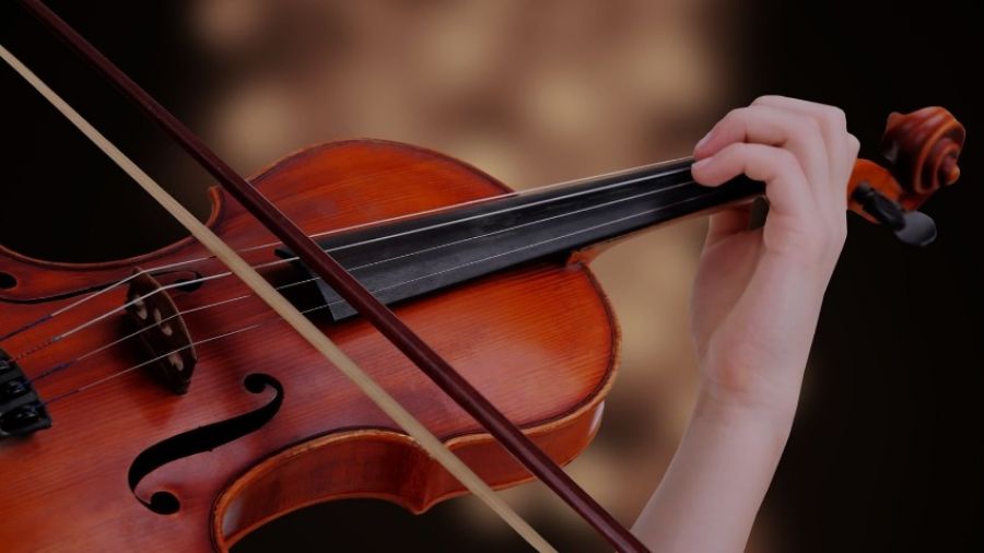 Музыкальный конкурс имени Родолфо Липицера в Италии исключил трех скрипачек из России
