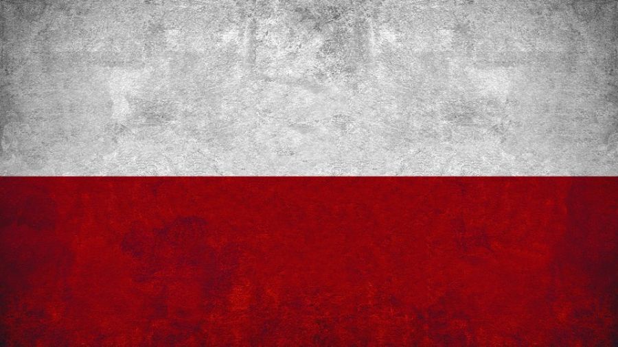 ИноСМИ: Румынский сенатор Диана Шошоакэ заявила, что радиоактивная пыль накрыла территорию Польши