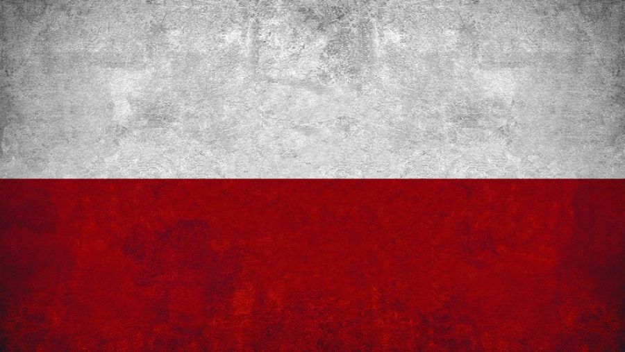 Военкор Юрий Котенок заявил, что «медовый месяц» Варшавы и Киева в 2023-м прошел