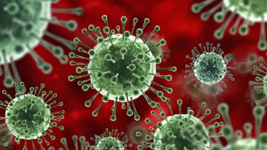 Самая большая тайна коронавирусной пандемии до сих пор не раскрыта в мире
