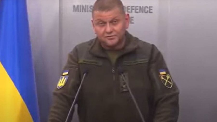 МК: Политолог Гаспарян заявил, что главком ВС Украины Залужный может быть мертв
