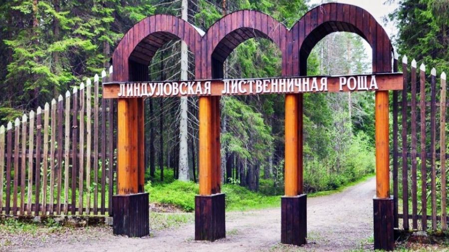 Fontanka перечислила 7 мест для бесплатного отдыха на природе в Петербурге в мае 2023 года