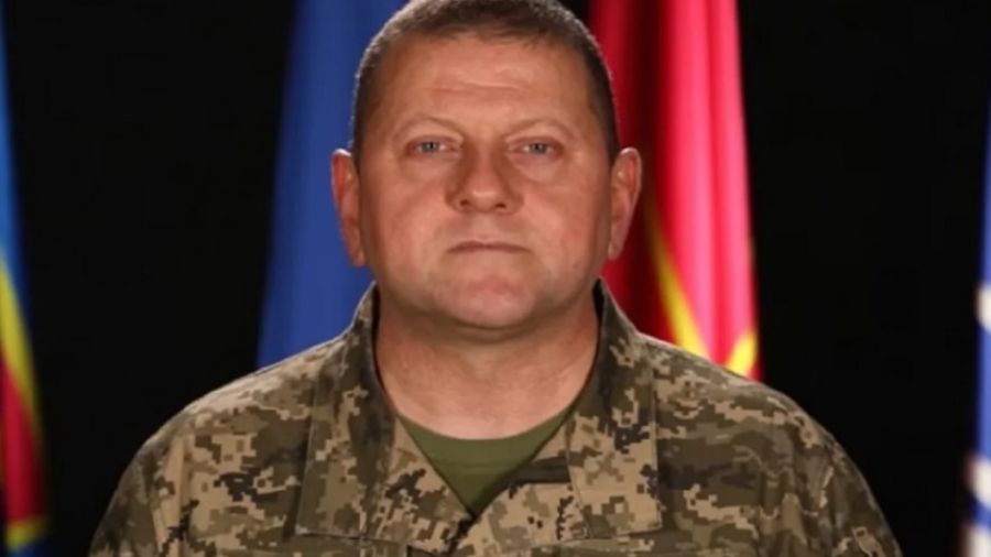 «ЦГ»: Главком ВС Украины Залужный был нейтрализован по «украинскому сценарию»