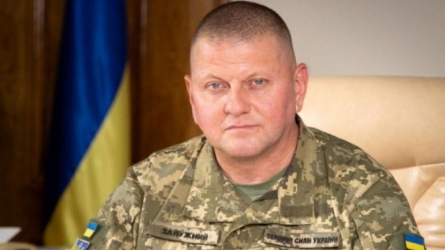 Канал НТВ провел собственное расследование загадочного исчезновения главкома ВСУ Залужного