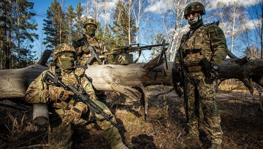 Минобороны: Вооруженные силы России полностью освободили Павловку в ДНР
