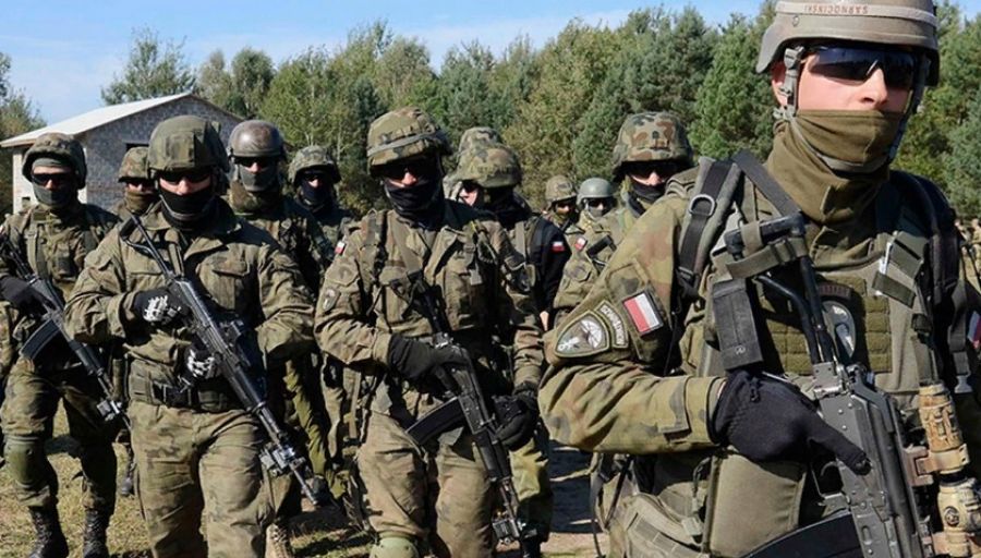 ВО: Польские наемники переброшены под Угледар вместо разбитых частей ВСУ