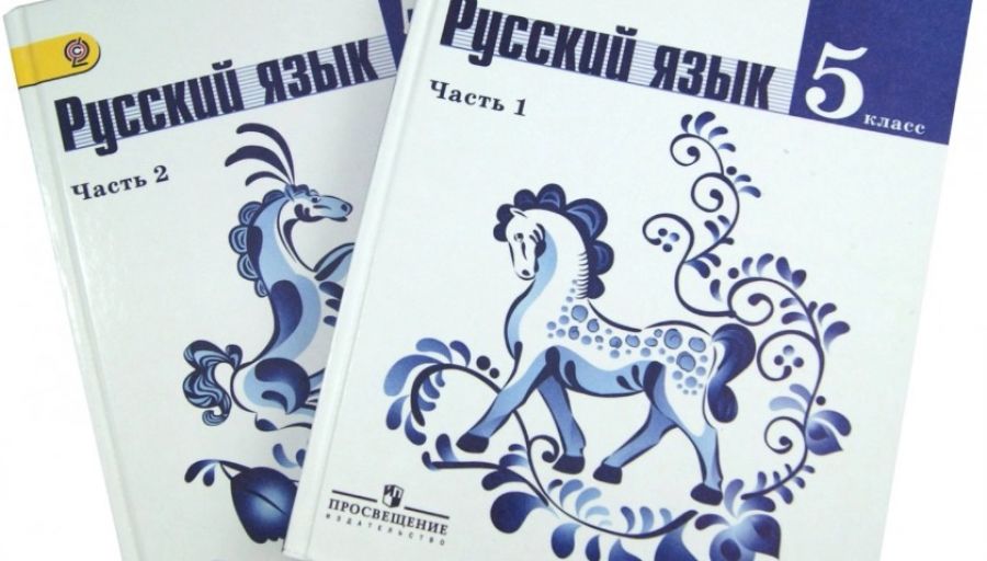 В Киеве из учебной программы детских садов и школ полностью исключили русский язык