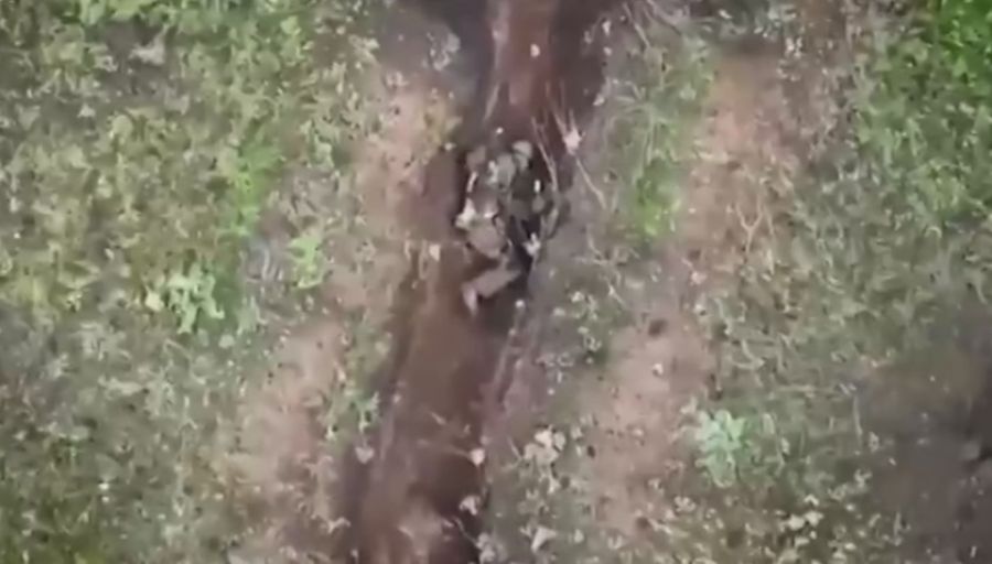 Борис Рожин показал лицо бойца ВС РФ Алексея, дважды выбросившего гранаты ВСУ из окопа