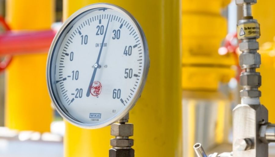 Сербия и РФ смогут договориться о новой выгодной цене по поставкам газа
